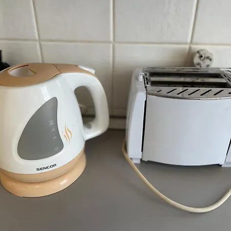 Flora Lobkovic Lägenhet